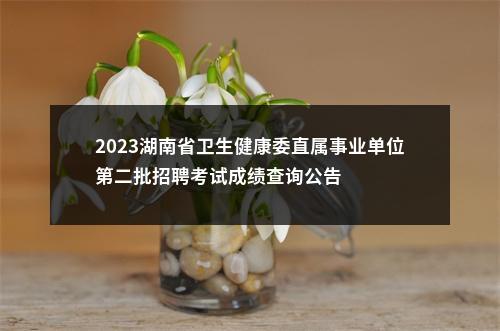 2023湖南省卫生健康委直属事业单位第二批招聘考试成绩查询公告 图片