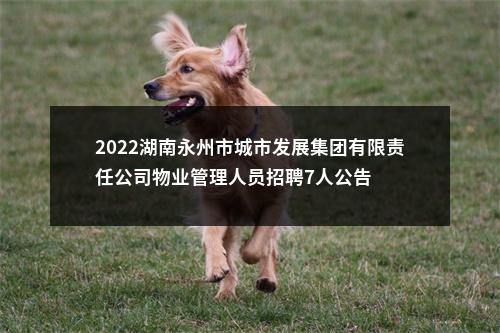 2022湖南永州市城市发展集团有限责任公司物业管理人员招聘7人公告 图片