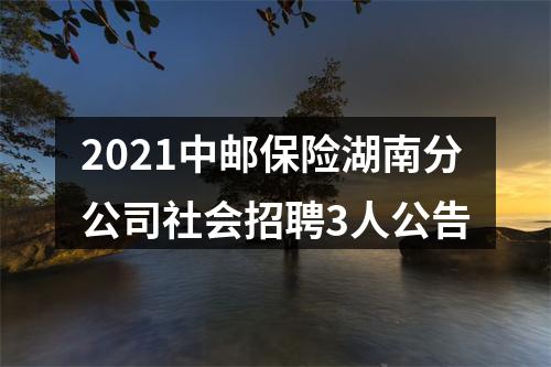 2021中邮保险湖南分公司社会招聘3人公告 图片